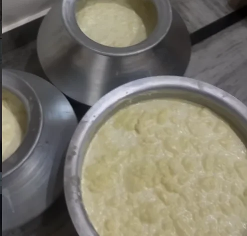 Traditional curd preparation set overnight